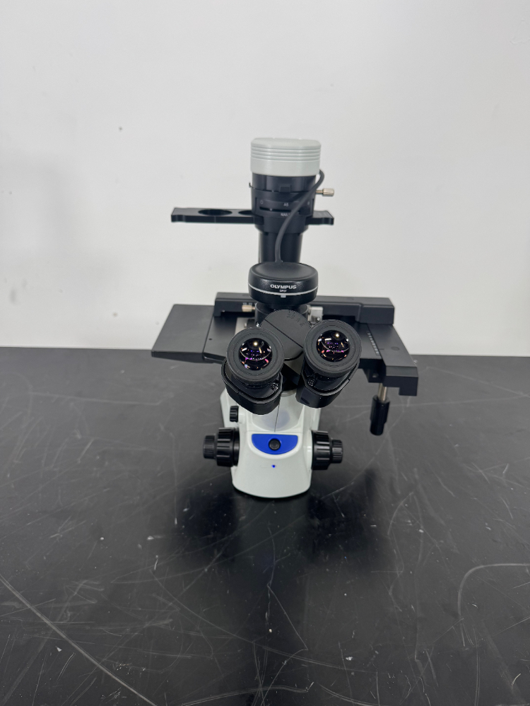 Image of Olympus CKX53 Inverted Microscope